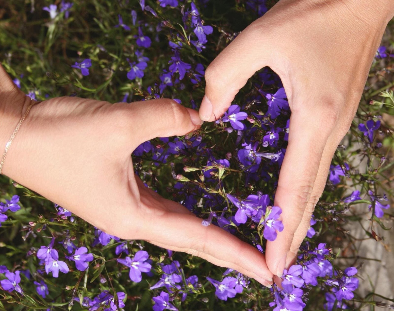 trouver l'amour dans le 64 et le 40